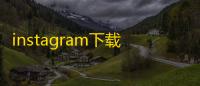 instagram下载中文版